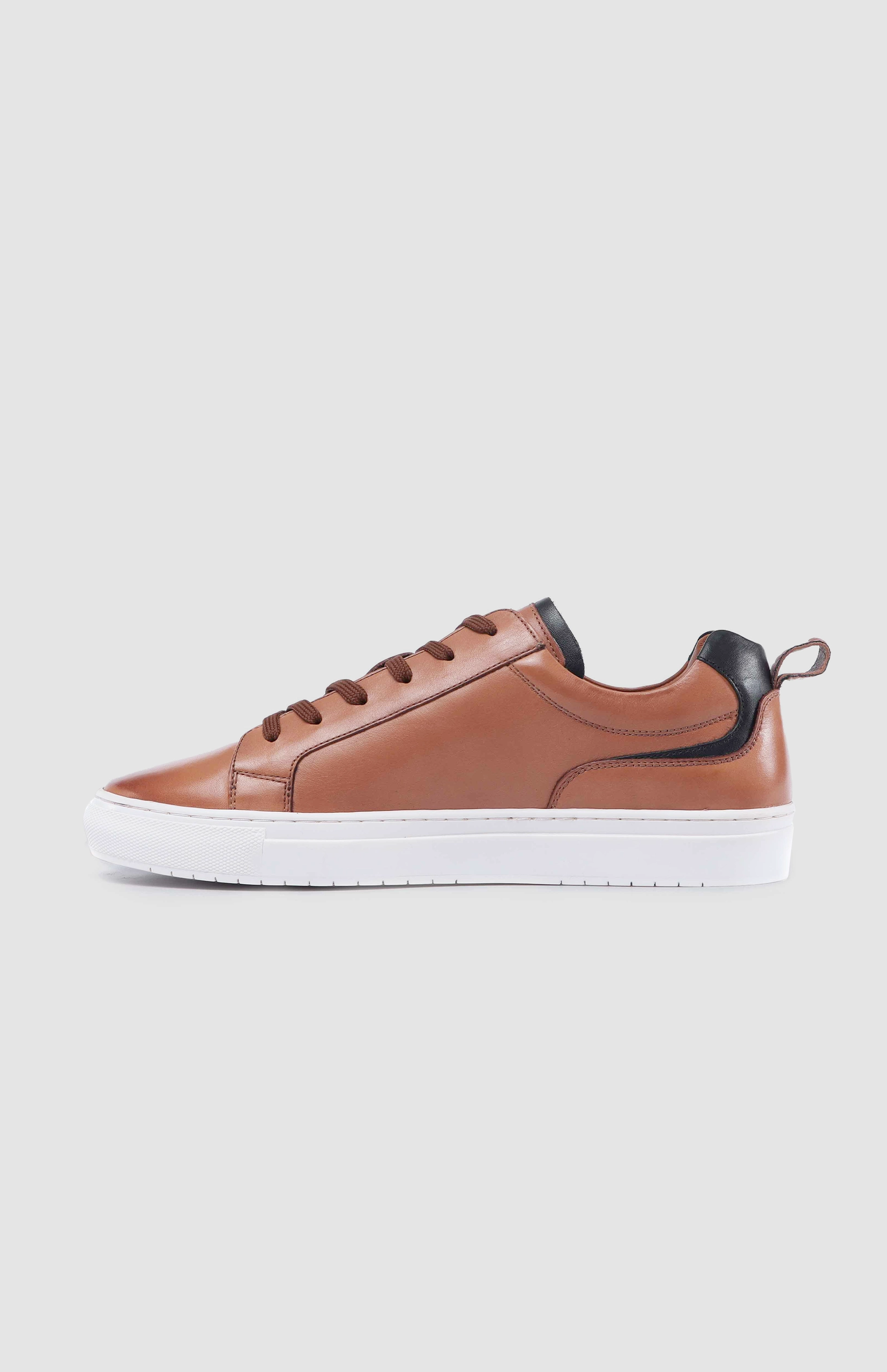 Pringle Carter Sneaker - Image 3