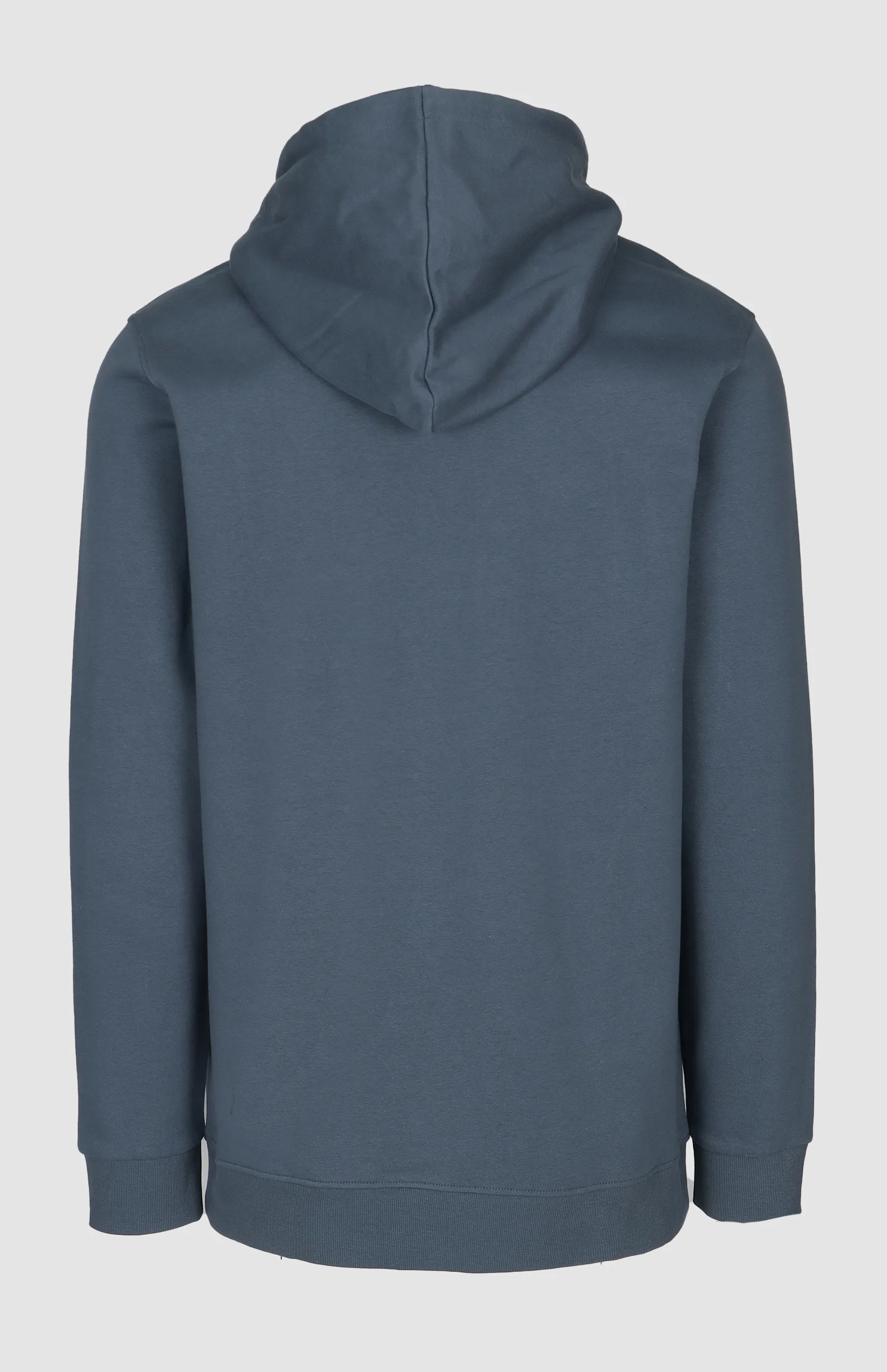 Cameron Lion Applique Hoodie - Image 3