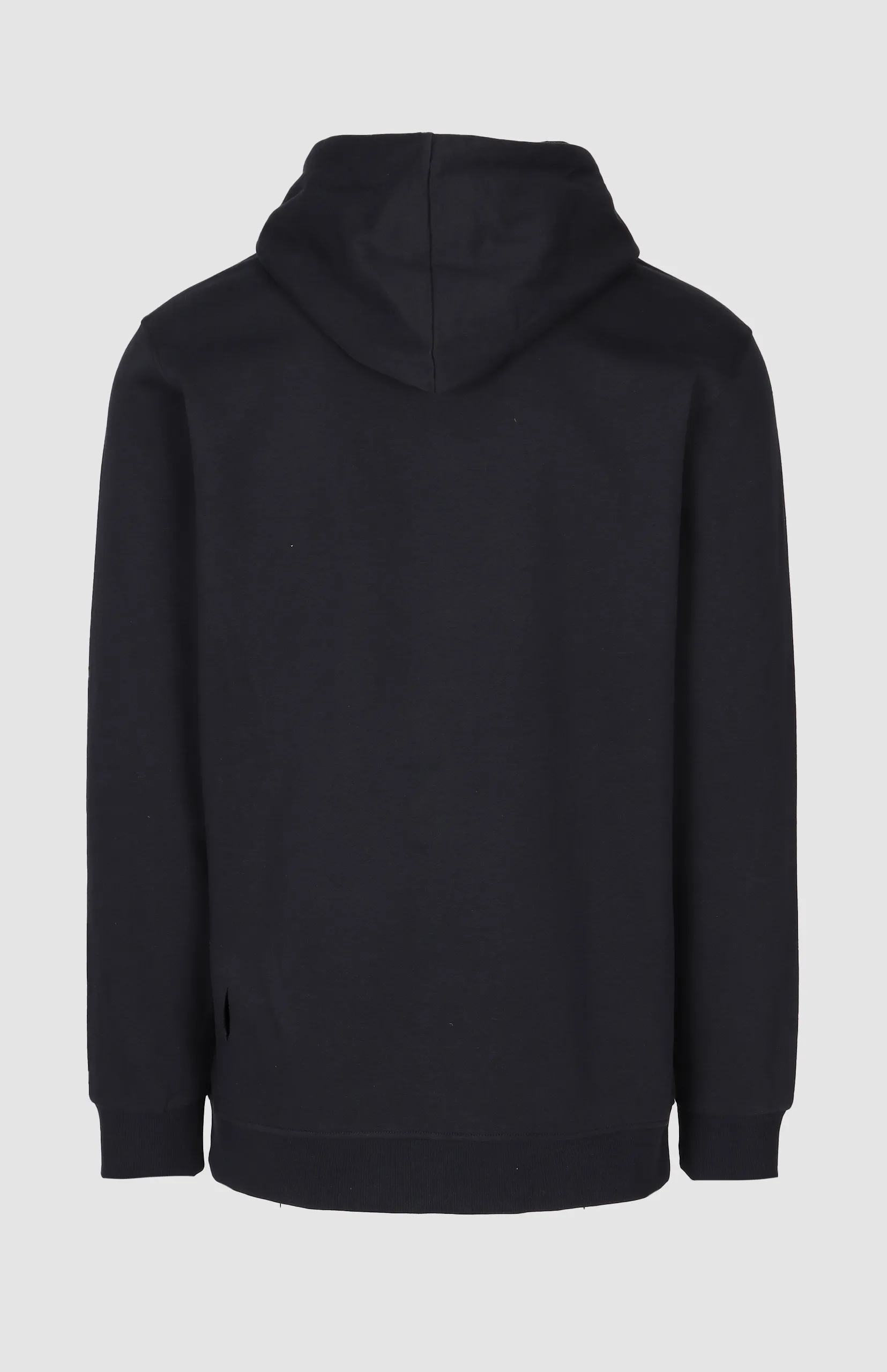 Cameron Lion Applique Hoodie - Image 3